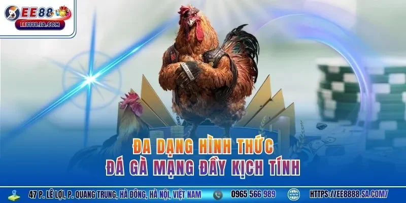 Đa dạng hình thức đá gà mạng đầy kịch tính 