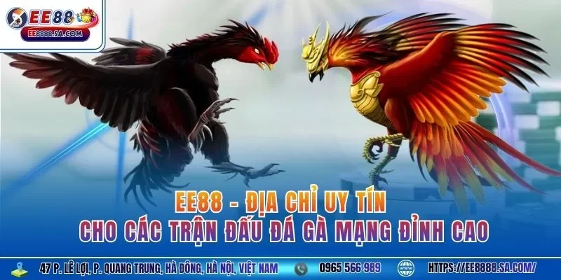 EE88 - địa chỉ uy tín cho các trận đấu đá gà mạng đỉnh cao 