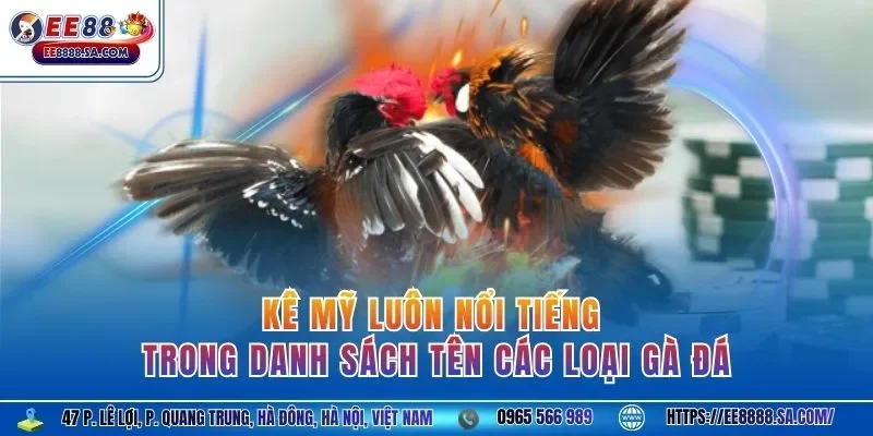 Kê Mỹ luôn nổi tiếng trong danh sách tên các loại gà đá