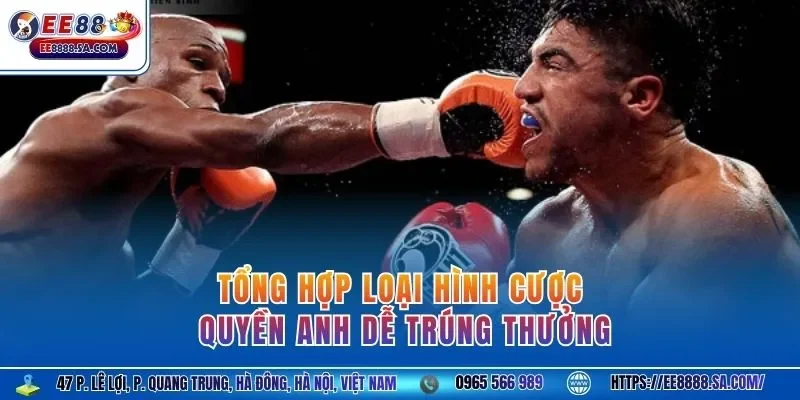 Tổng hợp loại hình cược quyền anh dễ trúng thưởng